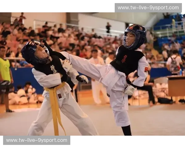 空手道交通——用礼仪与智慧重塑城市出行新秩序